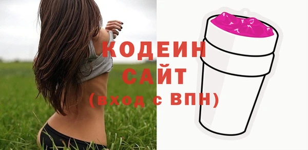 молекула духа Киреевск