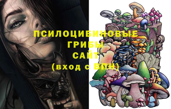 a pvp Касимов