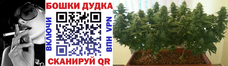 Бошки Шишки MAZAR  Купить где  Выкса 